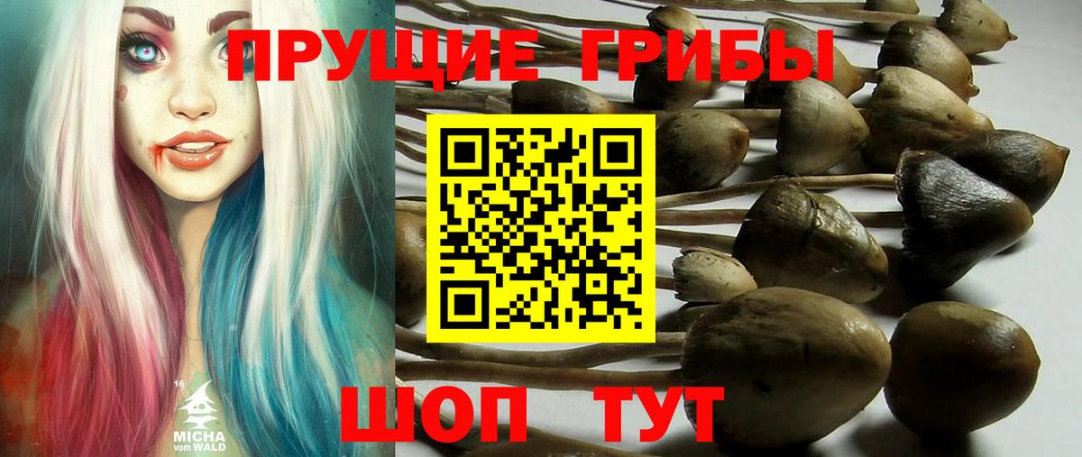 Галлюциногенные грибы прущие грибы Саров